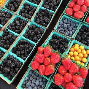 Meet your Posher, Sophia